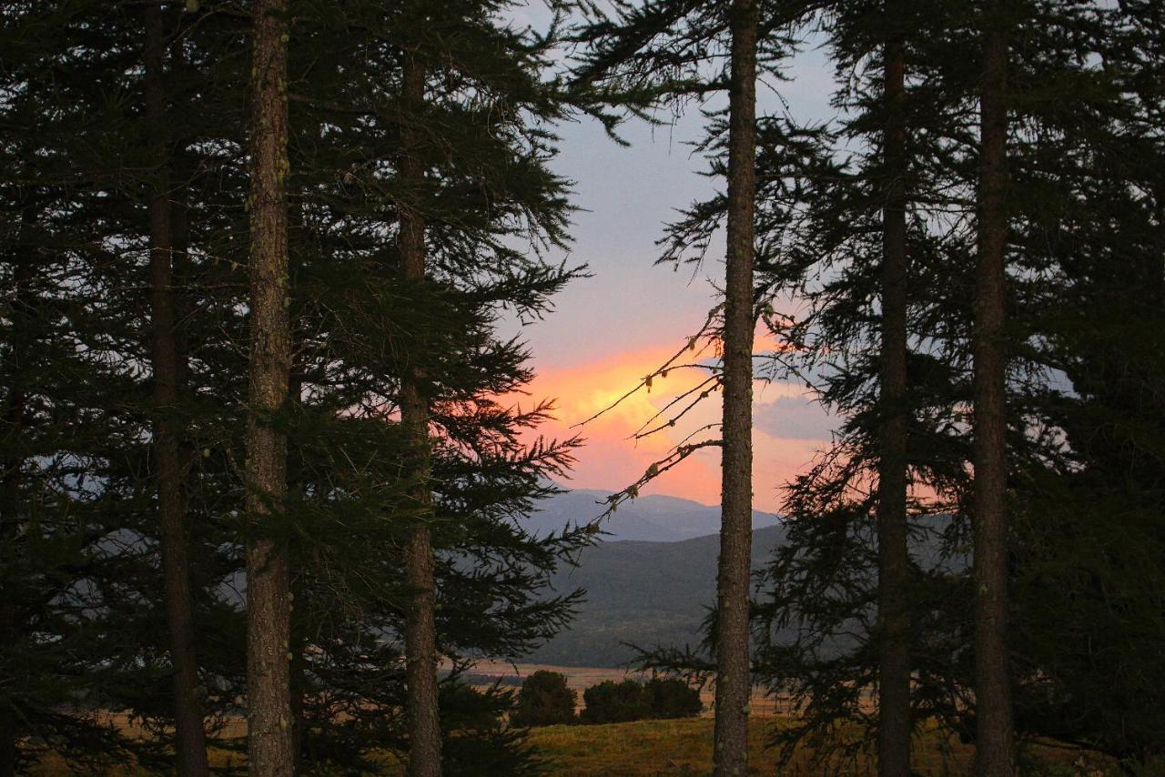 Gite Ranch Le Serpolet Les Angles  Bagian luar foto