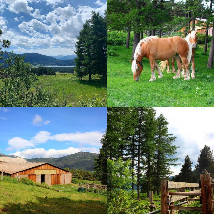Gite Ranch Le Serpolet Les Angles  Bagian luar foto