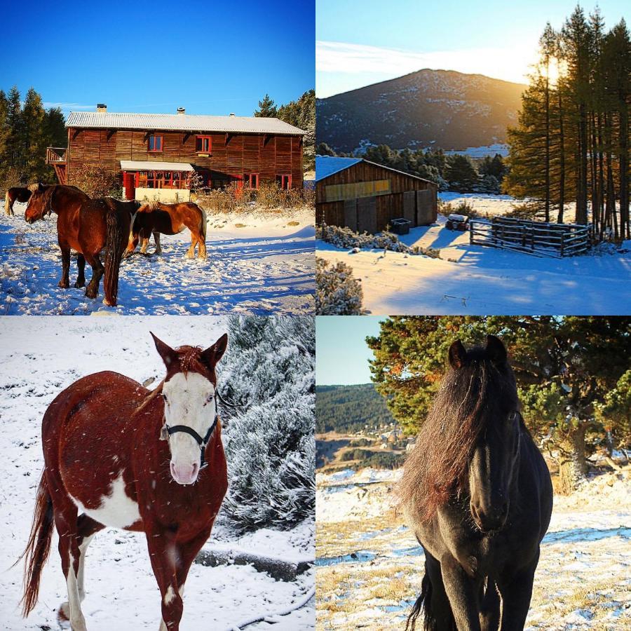 Gite Ranch Le Serpolet Les Angles  Bagian luar foto